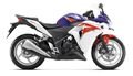 Cbr 250 R - 11/13