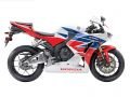 2009-2013 CBR 600RR