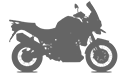 Tiger 1200
