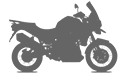 Tiger Explorer