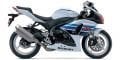 2009-2011 GSX R1000  