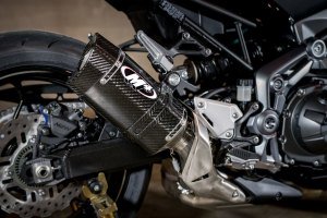 Kawasaki Z900 2017 Karbon Slip On Egzoz