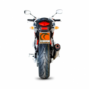 Suzuki Gladius 650 Serket Scorpion Performans Egzoz